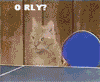 Name:  The whole enchilada 079.gif
Views: 264
Size:  88.2 KB