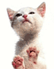 Name:  The whole enchilada 116.gif
Views: 113
Size:  14.8 KB
