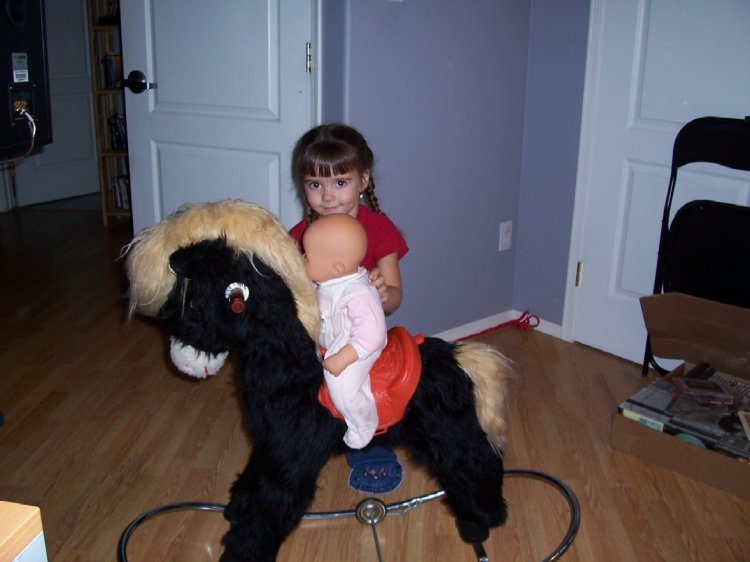Name:  sydney small 2.jpg
Views: 47
Size:  55.1 KB