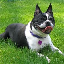 Name:  bubbles.jpg
Views: 118
Size:  10.7 KB