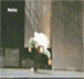 Name:  The whole enchilada 094.gif
Views: 109
Size:  73.2 KB
