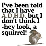 Name:  squirrel.jpg
Views: 67
Size:  8.8 KB
