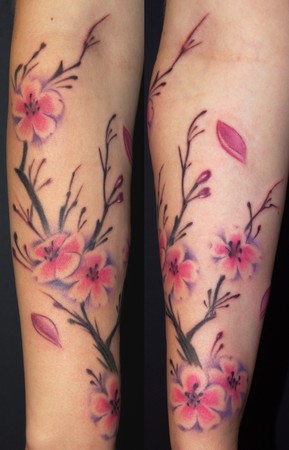 Name:  cherry%20blossoms.jpg
Views: 32
Size:  30.6 KB