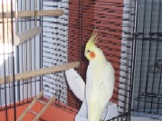 Name:  Animals and others 029.jpg
Views: 37
Size:  11.1 KB