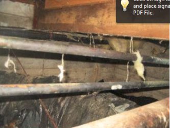 Name:  black pipe2.jpg
Views: 1237
Size:  19.8 KB