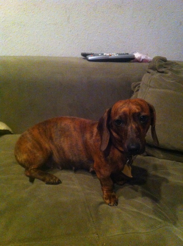 Name:  mocha 1.JPG
Views: 2222
Size:  227.6 KB