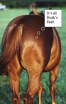 Name:  horses_-chou.JPG
Views: 91
Size:  16.0 KB