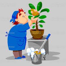 Name:  amhd.office.plant.jpg
Views: 98
Size:  7.8 KB