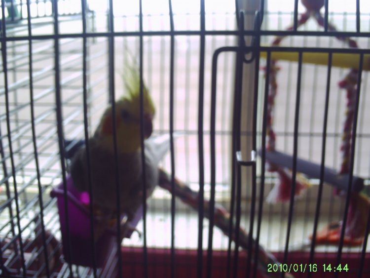 Name:  Me 004.jpg
Views: 315
Size:  65.8 KB