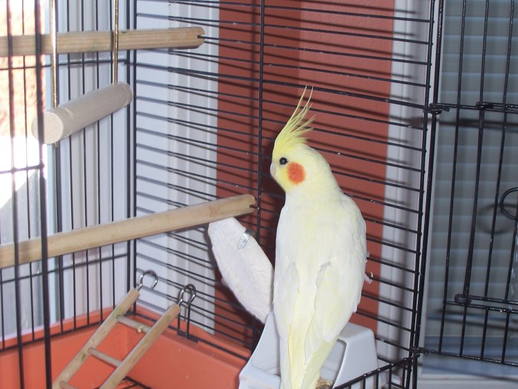 Name:  Animals and others 029.jpg
Views: 257
Size:  86.7 KB
