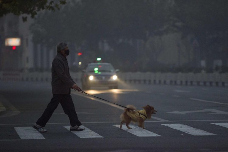 Name:  2013-12-06T053004Z_1345025786_GM1E9C611BN01_RTRMADP_3_CHINA-POLLUTION-SCHOOLS.jpg
Views: 31
Size:  35.9 KB
