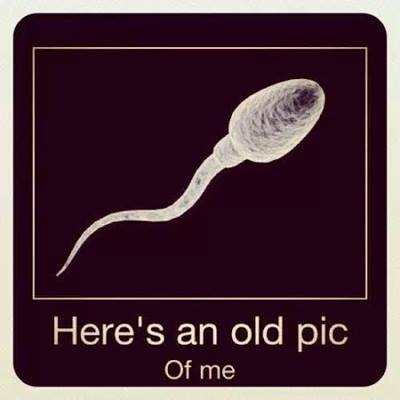 Name:  Old old old pic.jpg
Views: 250
Size:  14.1 KB