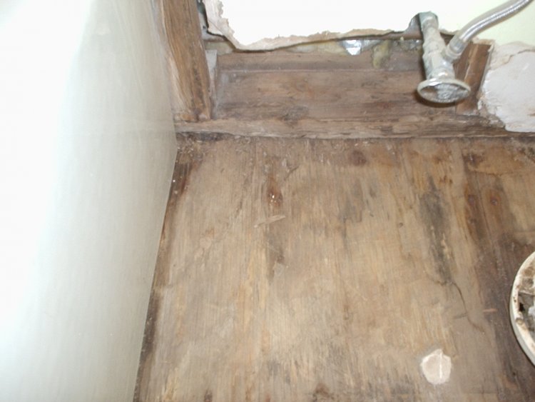 Name:  crawlspace 001.jpg
Views: 1104
Size:  53.8 KB