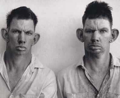 Name:  Inbred.jpg
Views: 111
Size:  10.4 KB