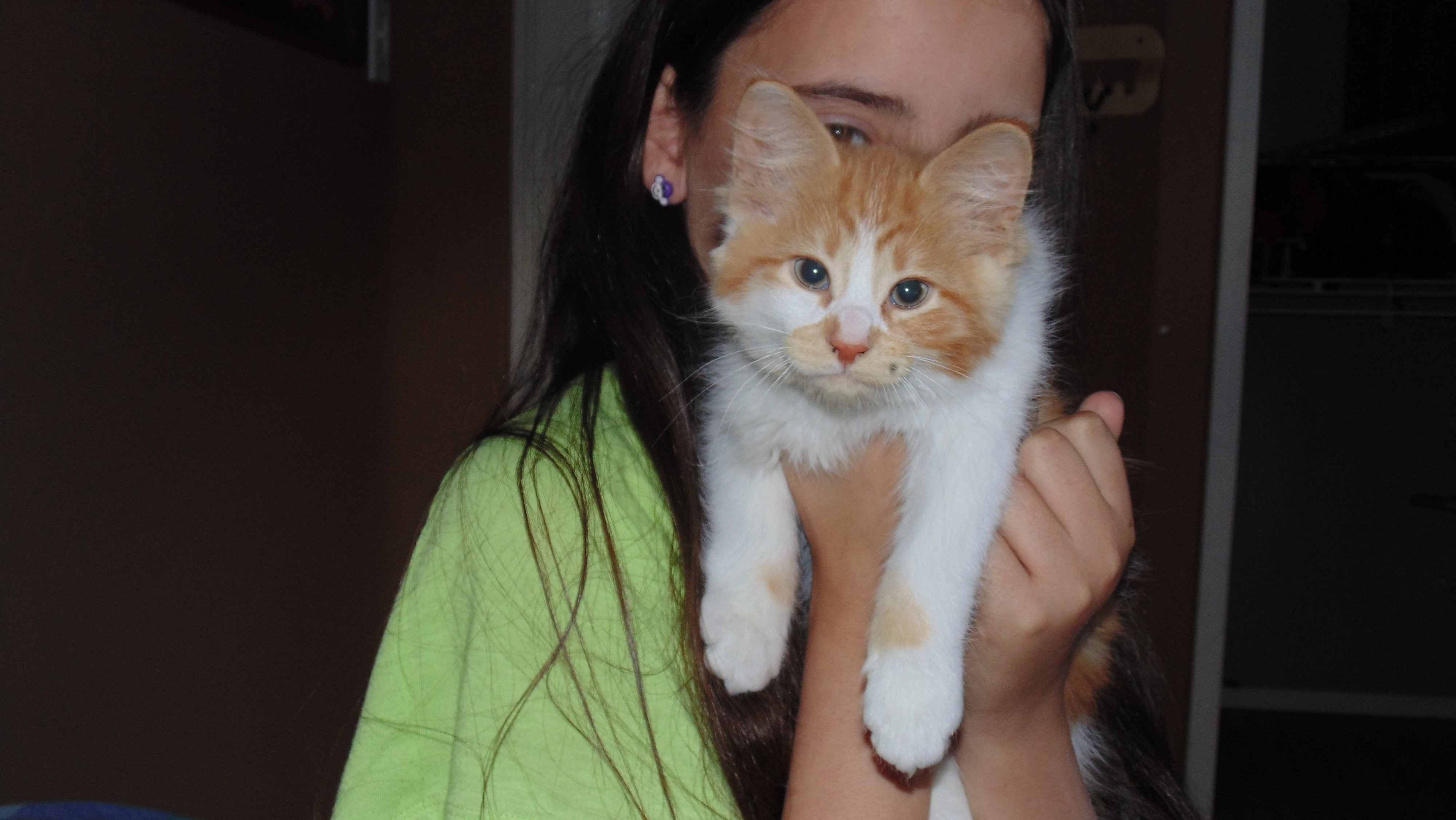 Name:  Kakashi kitten 013.jpg
Views: 211
Size:  771.9 KB