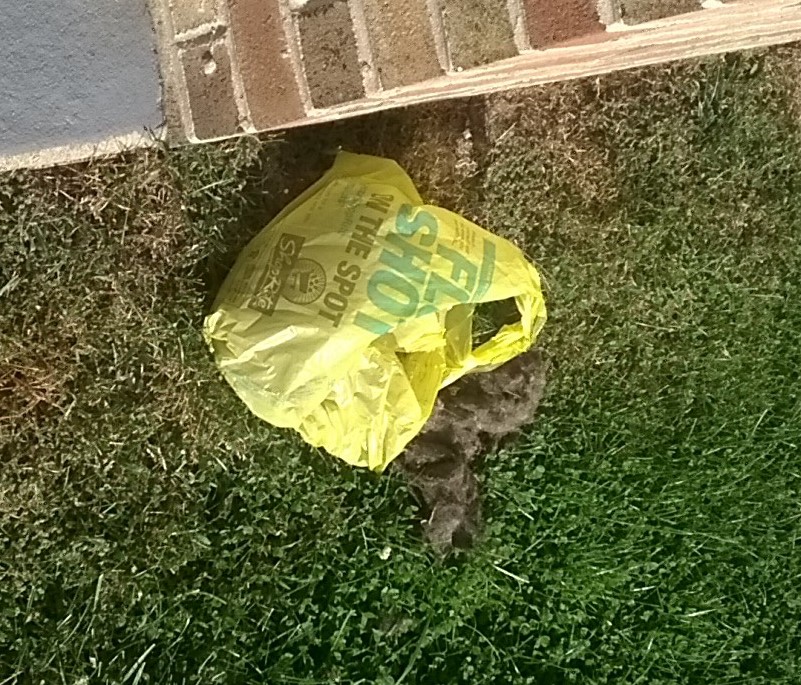 Name:  -bag-cloce.jpg
Views: 164
Size:  240.6 KB