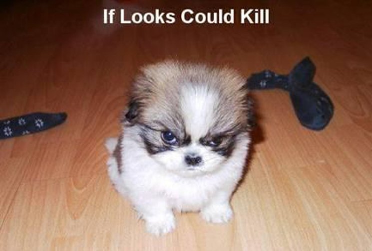 Name:  you talkin' to me.jpg
Views: 28
Size:  49.2 KB