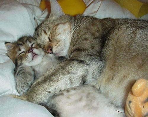 Name: can we hug it out.jpg
Views: 28
Size: 46.6 KB