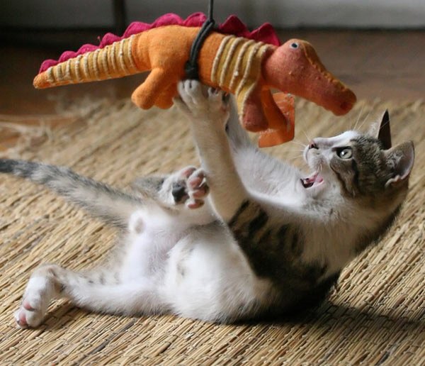Name:  catch.jpg
Views: 37
Size:  70.9 KB