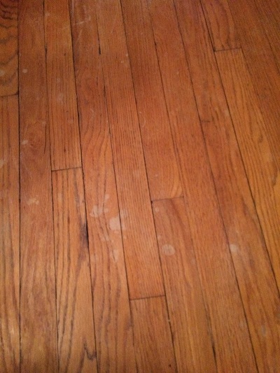 Name: kayosan 47167.jpg
Views: 684
Size: 97.7 KB