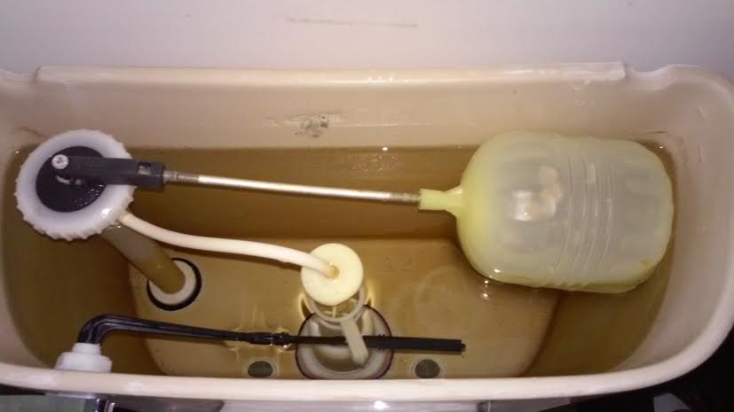 Name:  bathroom.jpg
Views: 253
Size:  23.3 KB