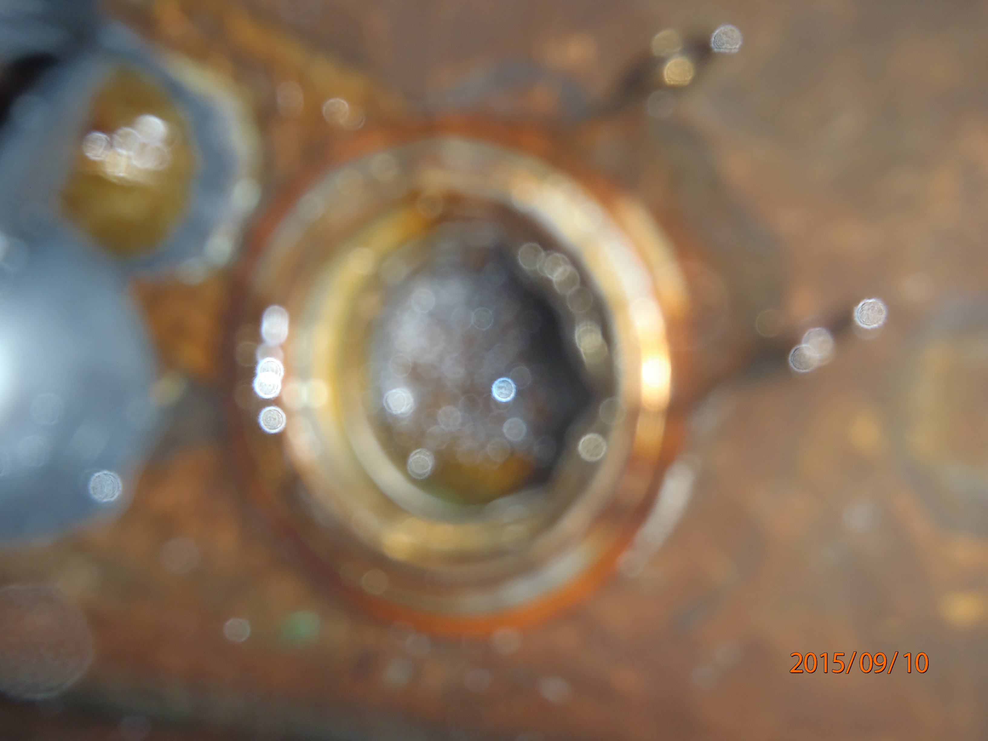 Name:  P9100557.JPG
Views: 151
Size:  1.70 MB
