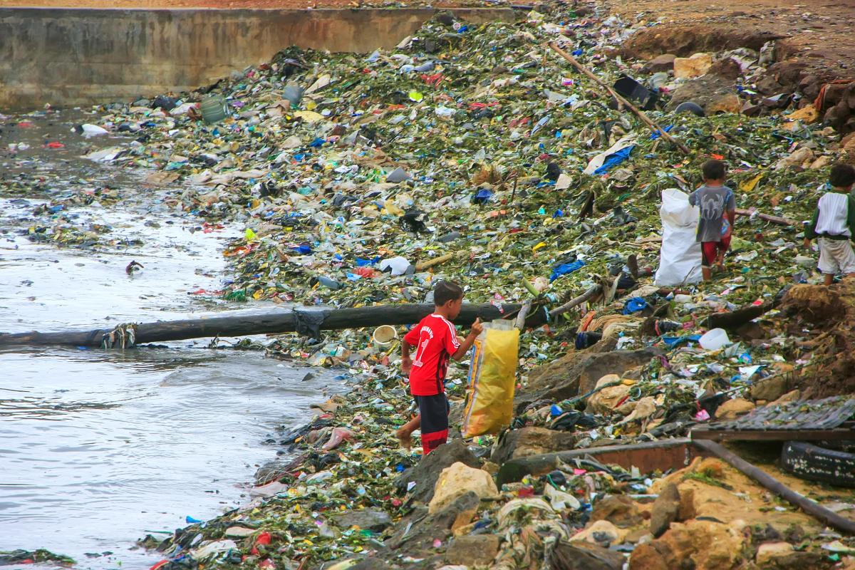 Name:  trash.jpg
Views: 21
Size:  259.9 KB