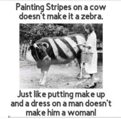 Name:  cow.jpg
Views: 19
Size:  35.8 KB
