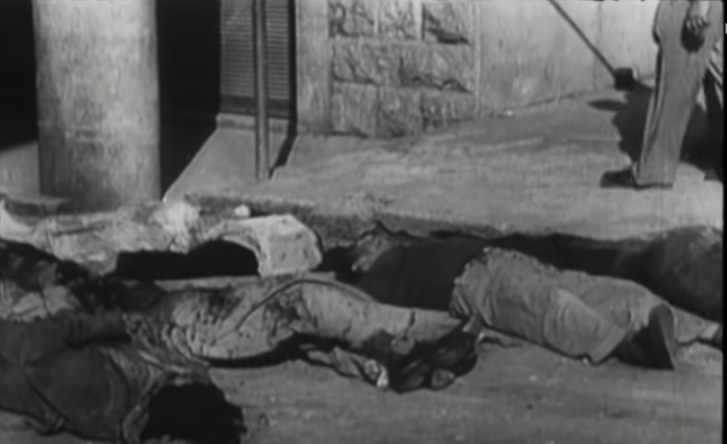 Name:  Nakba.png
Views: 32
Size:  338.6 KB