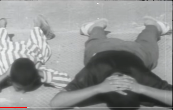Name:  Nakba 2.png
Views: 29
Size:  300.0 KB