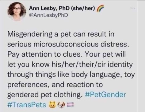 Name:  misgender a pet.jpg
Views: 84
Size:  45.4 KB