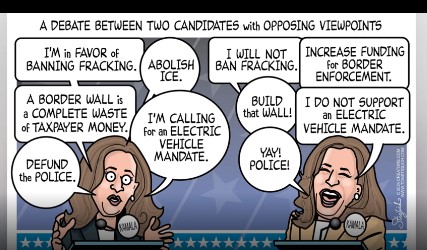 Name:  debate.jpg
Views: 20
Size:  50.8 KB