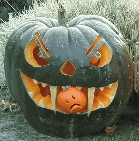 Name:  pumpkin 1.jpg
Views: 1481
Size:  40.9 KB