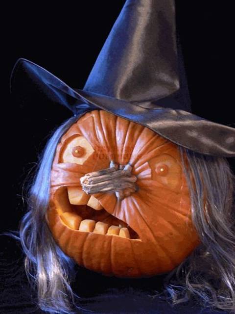 Name:  pumpkin 4.jpg
Views: 965
Size:  34.7 KB