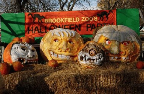 Name:  pumpkin 5.jpg
Views: 1013
Size:  53.3 KB