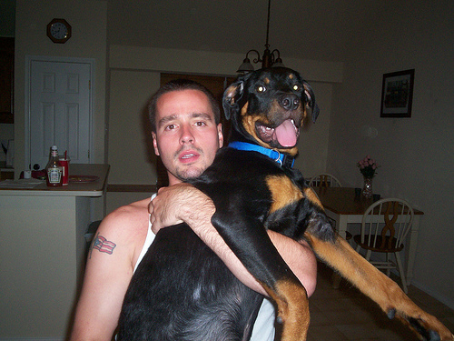 How's your pet dog?