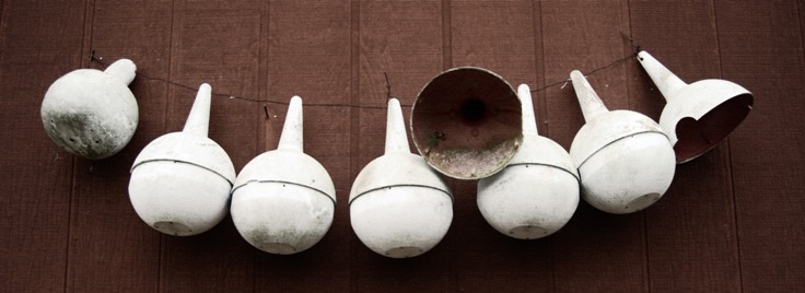 Name:  DSC_0233 crop resized.jpg
Views: 389
Size:  58.6 KB