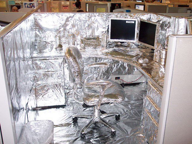 Name:  foiled again.jpg
Views: 1713
Size:  115.7 KB