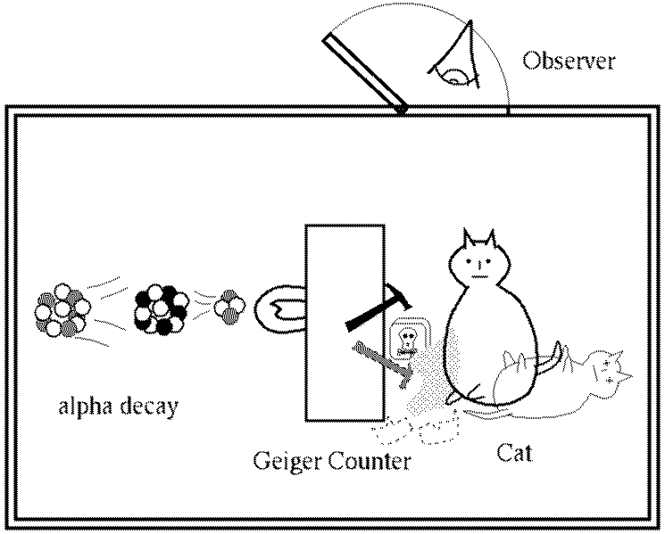 Name:  cat.gif
Views: 469
Size:  10.4 KB