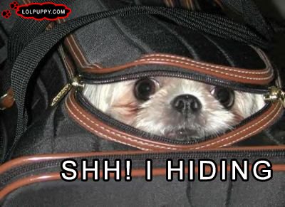 Name:  hiding.jpg
Views: 139
Size:  32.1 KB