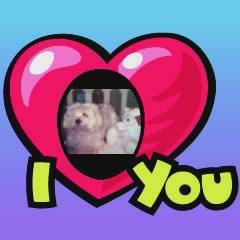 Name:  TinaMarie.jpg
Views: 184
Size:  21.0 KB