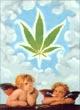 Name:  angels and pot leaf.jpg
Views: 24
Size:  2.9 KB