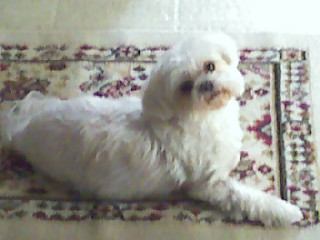 Name:  mommysbabygirl.jpg
Views: 569
Size:  21.6 KB