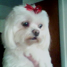 Name:  Daddy's girl.jpg
Views: 110
Size:  21.9 KB