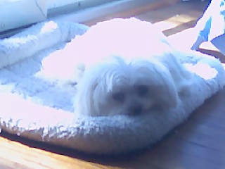 Name:  baby girl.jpg
Views: 377
Size:  17.4 KB