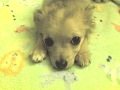 Name:  Lilster.jpg
Views: 23
Size:  11.6 KB