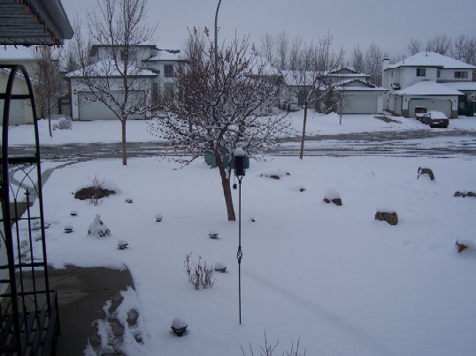 Name:  Snow in April.jpg
Views: 41
Size:  54.4 KB