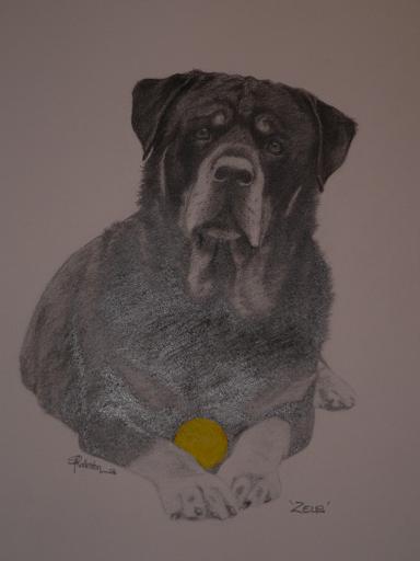 Name:  Zeus and old yella.jpg
Views: 261
Size:  31.6 KB