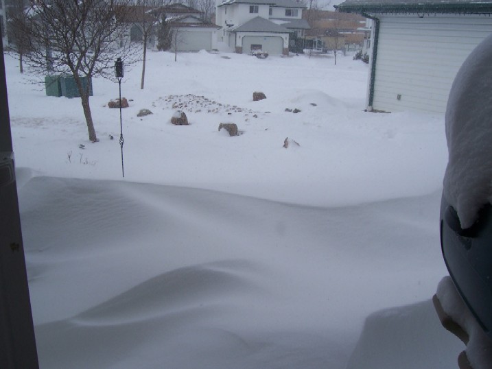 Name:  Yucky snow.jpg
Views: 16
Size:  58.8 KB