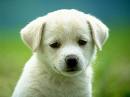 Name:  images[1].jpg
Views: 27
Size:  2.4 KB